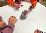 IMG_7012.jpeg