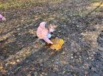IMG_6223.jpeg
