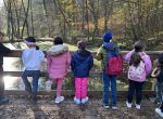 Ausflug Wald 2a