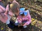 IMG_6204.jpeg
